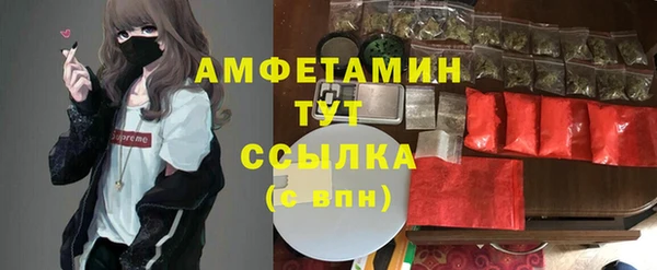 индика Саяногорск