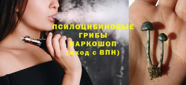 индика Саяногорск