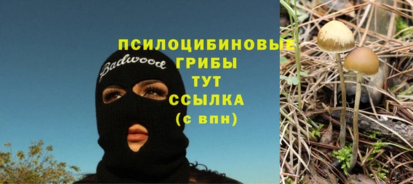 синтетический гашиш Алексин