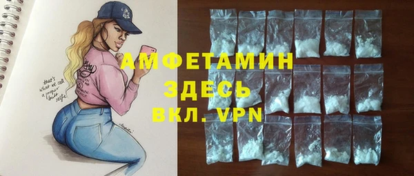 индика Саяногорск