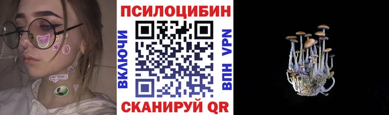 Псилоцибиновые грибы Cubensis  цена наркотик  Межгорье 